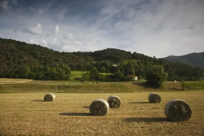 Framed Print : Italy, Brescia Province, Tremosine Plateau. Hay rolls Framed Print : Italy, Brescia Province, Tremosine Plateau. Hay rolls