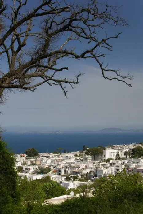 Framed Print : ITALY-Campania-(Bay of Naples)-CAPRI-ANACAPRI: View of Anacapri Town from Belvedere Framed Print : ITALY-Campania-(Bay of Naples)-CAPRI-ANACAPRI: View of Anacapri Town from Belvedere