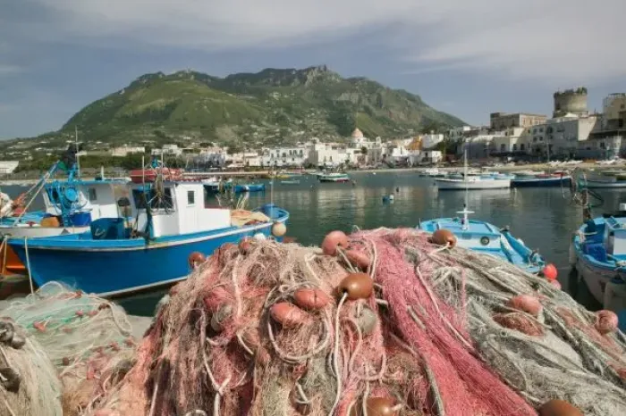 Framed Print : ITALY, Campania, (Bay of Naples), ISCHIA, FORIO: Town View from Fishing Port / Daytime Framed Print : ITALY, Campania, (Bay of Naples), ISCHIA, FORIO: Town View from Fishing Port / Daytime