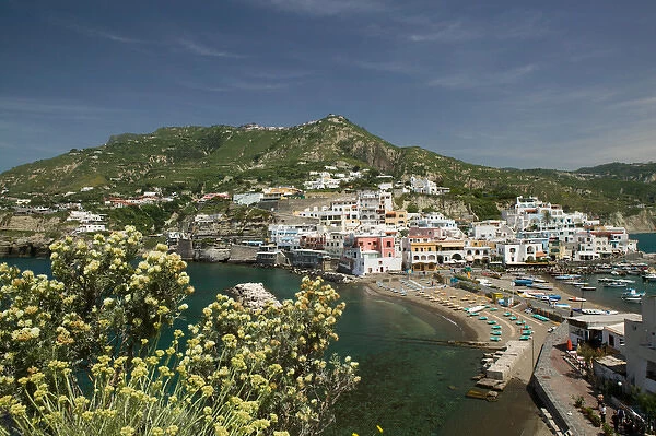 ITALY-Campania-(Bay of Naples)-ISCHIA-SANT ANGELO: Town & Port View  /  Daytime
