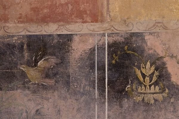 Italy, Campania, Pompeii. Wall detail of art in the Fullery of Stephanus