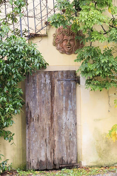 Italy, Chianti. Radda. Wooden door with greenery and decorative terracotta face
