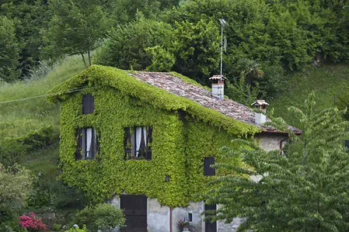 Framed Print : ITALY, Como Province, Bellagio. Leafy house Framed Print : ITALY, Como Province, Bellagio. Leafy house