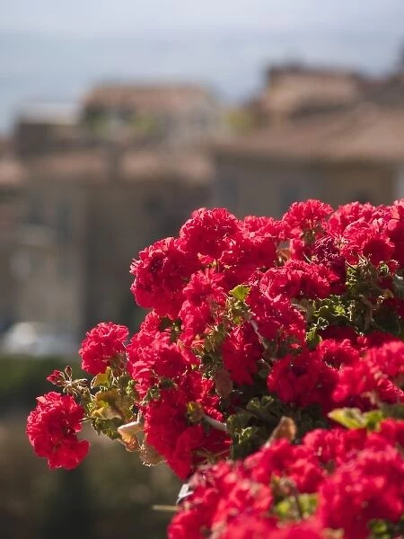 Italy, Cortona, Flower boxes