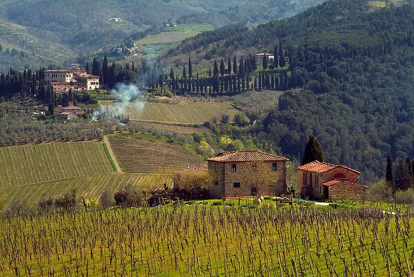 Italy, Country homes in the Tuscan region, surrounded by vineyards