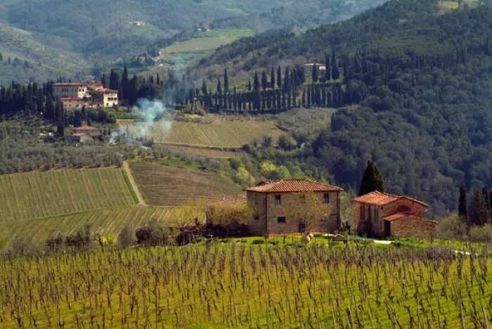 Framed Print : Italy, Country homes in the Tuscan region, surrounded by vineyards