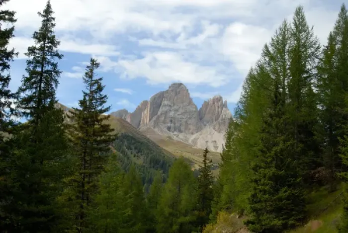 Framed Print : 04. Italy, Dolomites, Trentino, Pordoi Pass, alpine beauty Framed Print : 04. Italy, Dolomites, Trentino, Pordoi Pass, alpine beauty