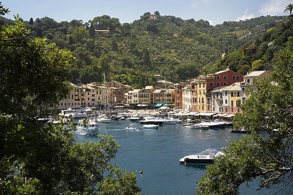 Italy, Genoa province, Portofino. Upscale fishing village on the Ligurian Sea, pastel