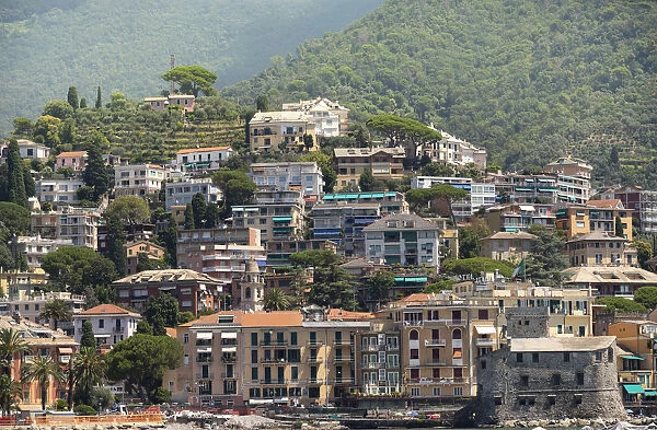 Italy, Genoa Province, Rapallo. Hillside with houses overlooking harbor