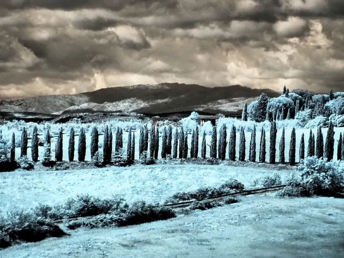 Framed Print : Italy. Infrared of vineyards and Wheat field in southern Tuscany