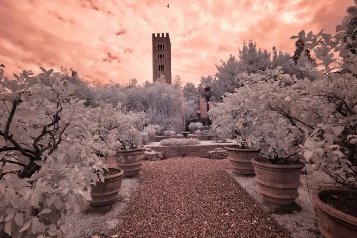 Framed Print : Italy, Lucca. Beautiful gardens and heavy sky above Palazzo Pfanner Of Lucca Framed Print : Italy, Lucca. Beautiful gardens and heavy sky above Palazzo Pfanner Of Lucca