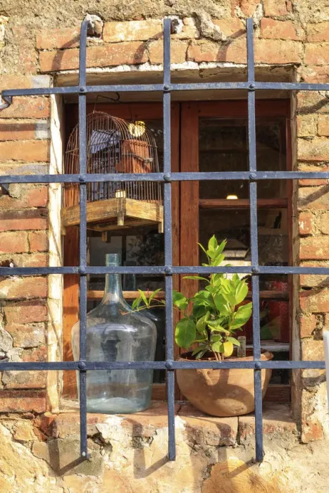 Framed Print : Italy, Monteriggioni. Stone wall, window with bars, wine bottle, bird cage and plant Framed Print : Italy, Monteriggioni. Stone wall, window with bars, wine bottle, bird cage and plant