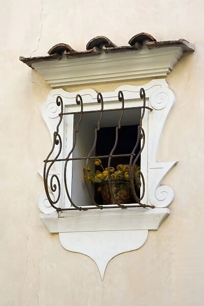 Italy, Positano. Flowering plant in decorative window of a home
