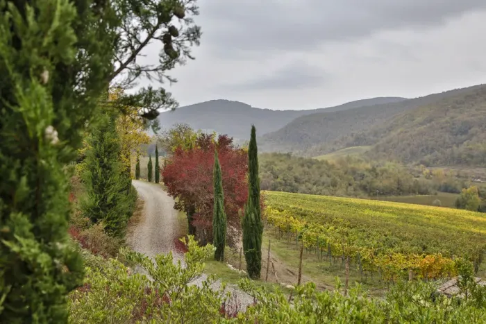 Framed Print : Italy, Radda in Chianti, Tuscany, A Path to the Hills, Villa Campomaggio