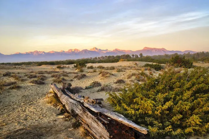 Framed Print : Italy, Riserva Naturale di Massaciuccoli San Rossore, protected coastal forest in Tuscany. Winter views. Apuan Alps on the far distance Framed Print : Italy, Riserva Naturale di Massaciuccoli San Rossore, protected coastal forest in Tuscany. Winter views. Apuan Alps on the far distance