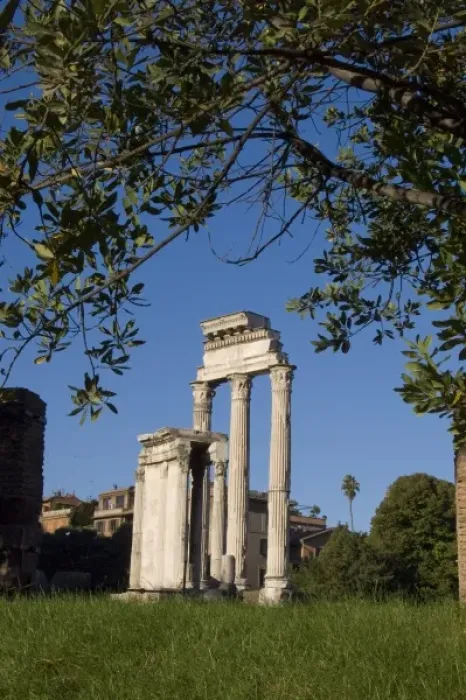 Framed Print : Italy, Rome. The Forum Framed Print : Italy, Rome. The Forum