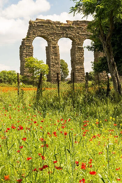 Italy, Rome. Parco Regionale dell Appia, Antica, Park of the Aqueducts