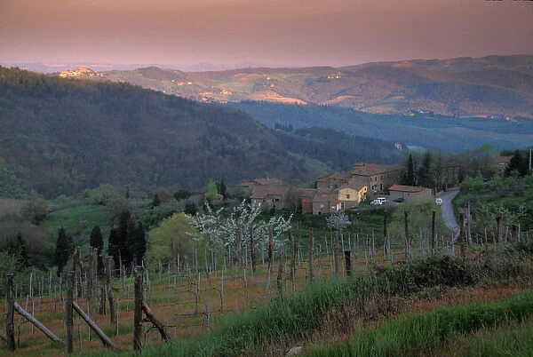 Italy, San Gimignano, Villa and surrounding vineyards at sunset