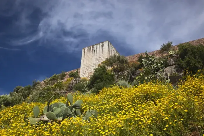 Framed Print : ITALY, Sardinia, Bosa. Cacti and Castello Malaspina