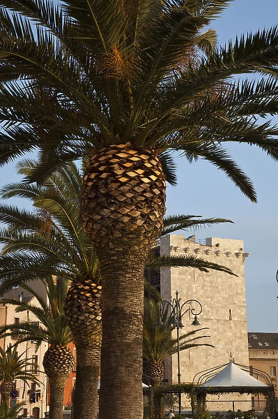 ITALY, Sardinia, Cagliari. Buildings and palms along Via Santa Croce in Il Castelo old town