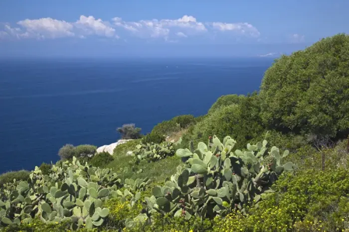 Framed Print : Italy, Sardinia, Capoterra. Southeast coast Framed Print : Italy, Sardinia, Capoterra. Southeast coast