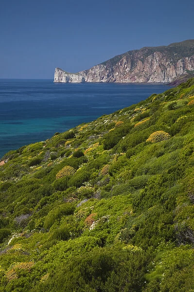 ITALY, Sardinia, Nebida. Coastline by Scoglio Pan di Zucchero islet
