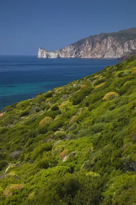 Framed Print : ITALY, Sardinia, Nebida. Coastline by Scoglio Pan di Zucchero islet