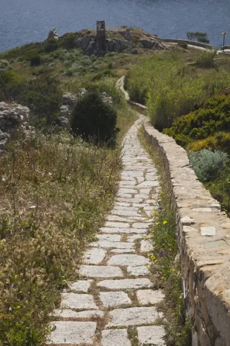 Framed Print : ITALY, Sardinia, Santa Teresa Gallura. Torre di Longonsardo tower pathway Framed Print : ITALY, Sardinia, Santa Teresa Gallura. Torre di Longonsardo tower pathway