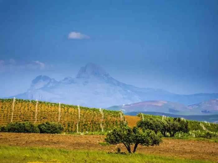 Framed Print : Italy, Sicily, Trapani. Alcamo countryside