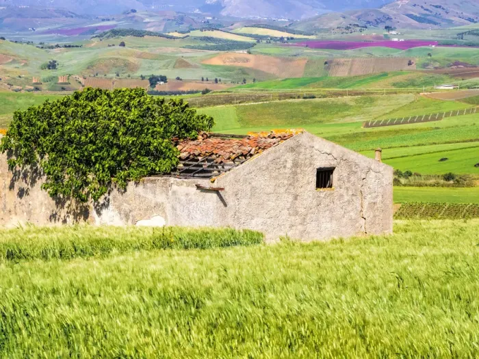 Framed Print : Italy, Sicily, Trapani. Alcamo countryside Framed Print : Italy, Sicily, Trapani. Alcamo countryside