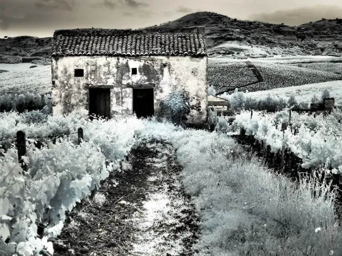 Framed Print : Italy, Sicily, Trapani. Alcamo countryside Framed Print : Italy, Sicily, Trapani. Alcamo countryside