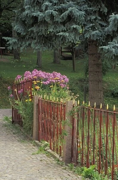 Italy, St. Ulrich. Decorative iron fence and asters