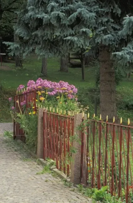 Framed Print : Italy, St. Ulrich. Decorative iron fence and asters