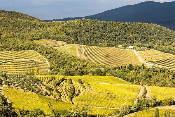 Italy, Tuscan valley in autumn