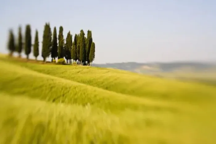 Framed Print : Italy Tuscany