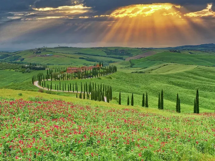 Framed Print : Italy, Tuscany, Asciano. Crete Senesi winding cypress road Framed Print : Italy, Tuscany, Asciano. Crete Senesi winding cypress road