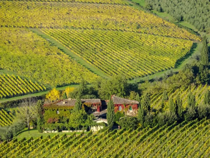 Framed Print : Italy, Tuscany. Autumn vineyards near the town of Panzano Framed Print : Italy, Tuscany. Autumn vineyards near the town of Panzano