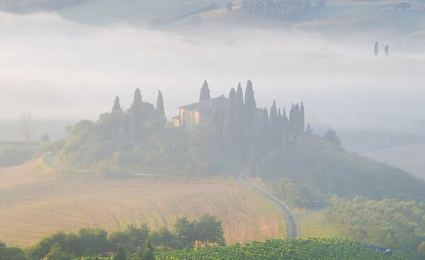 Italy, Tuscany. Belvedere house in morning fog