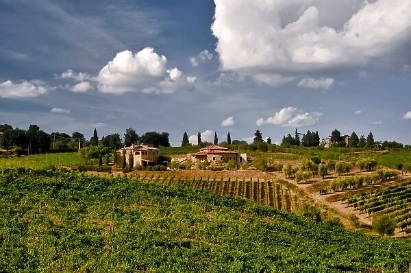 Italy, Tuscany. Brunello is the star wine of nearly 200 Montalcino wineries