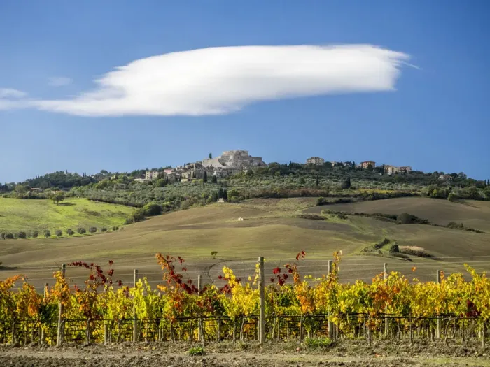 Framed Print : Italy, Tuscany. Colorful vineyards in autumn with blue skies and clouds