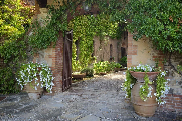 Italy, Tuscany. Courtyard of an agriturismo near the hill town of Montalcino