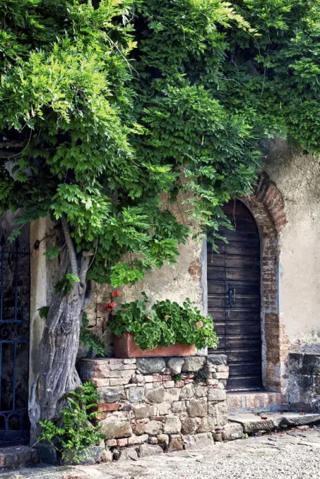 Framed Print : Italy, Tuscany. Courtyard of an agriturismo near the hill town of Montalcino