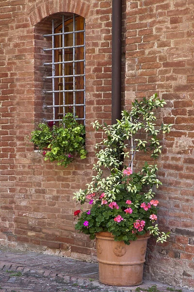 Italy, Tuscany, Crete Senesi, Asciano. Street scene with potted flowers near the entrance of a home in the hill town of Asciano
