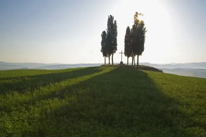 Framed Print : Italy, Tuscany, Cypress Trees in Tuscany with Cross Framed Print : Italy, Tuscany, Cypress Trees in Tuscany with Cross