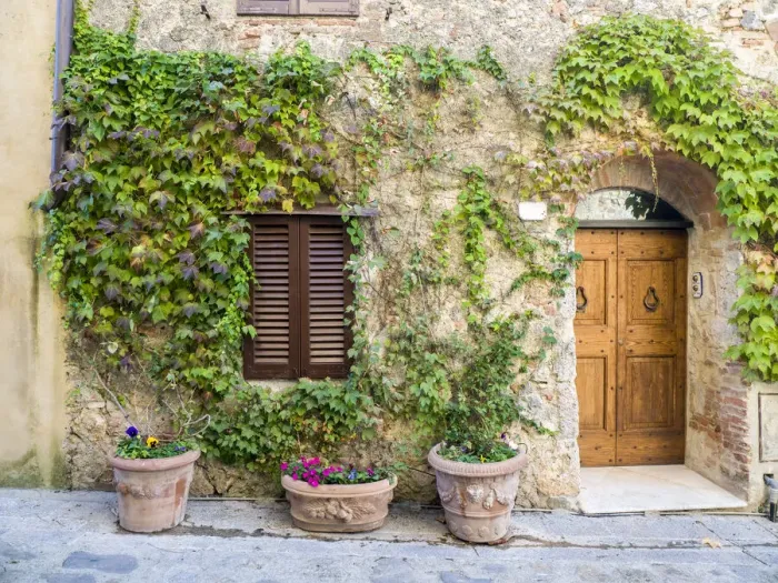 Framed Print : Italy, Tuscany. Entrance to a home in Tuscany decorated with potted plants