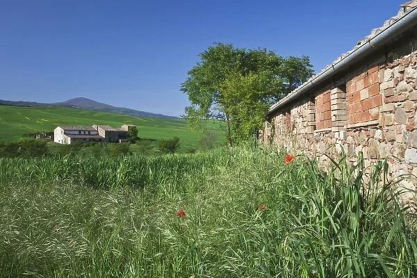 Italy, Tuscany, Gallena. Pastoral scenic in Italian countryside