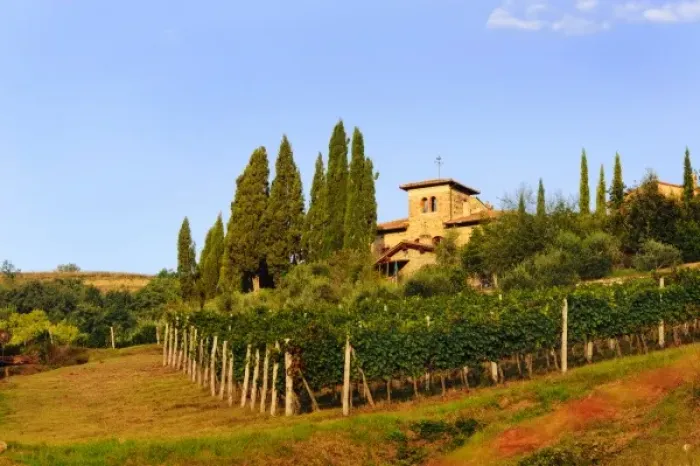 Framed Print : Italy, Tuscany, Greve. Late summer wine scenes from Tuscany