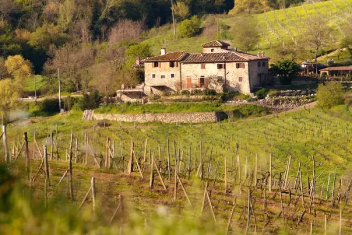 Framed Print : Italy, Tuscany, Greve, Poggio Asciutto, an Agriturismo bed and breakfast farm
