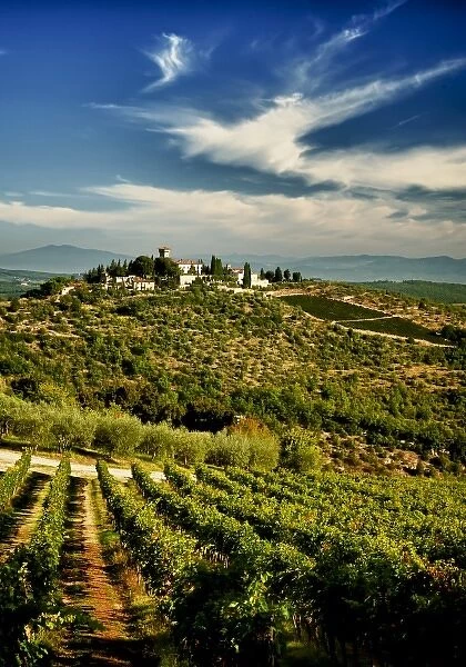 Italy, Tuscany, Greve. The vineyards of Castello di Verrazzano face their friendly rival estates