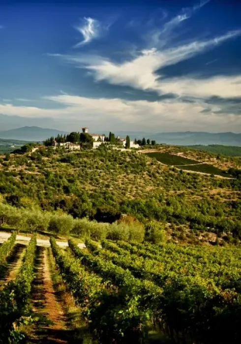 Framed Print : Italy, Tuscany, Greve. The vineyards of Castello di Verrazzano face their friendly rival estates Framed Print : Italy, Tuscany, Greve. The vineyards of Castello di Verrazzano face their friendly rival estates